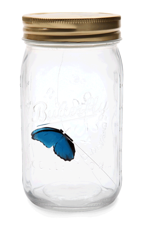 $11,99 thinkgeek.com 22
